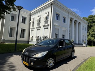 Peugeot 307 1.6-16V XS 5 deurs, 1e eigenaar (bj 2005)