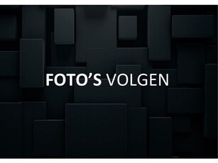 Volkswagen Polo 2.0 TSI GTI DSG Panoramadak Leer