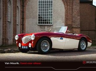 Austin HEALEY Austin-healey 100M | Is not a factory-built 100M (including gold certificate) | Mille Miglia chosen