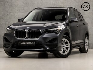 BMW X1 xDrive25e High Executive 221Pk Automaat (GROOT NAVI