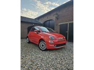 Fiat 500 1.2 Lounge Panorama dak Schermpje Parkeersen.