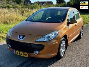 Peugeot 307 1.6-16V XS 5-Drs ECC Audio/CD Electric pakket