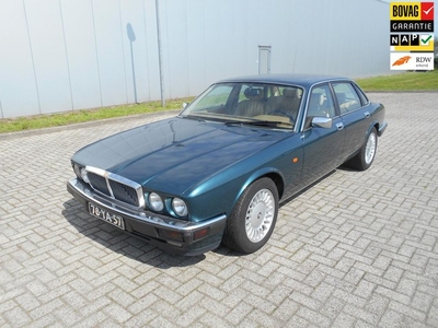 Jaguar XJ 12