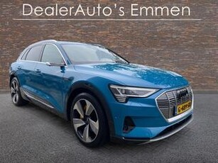 Audi e-tron e-tron 55 PANO 20