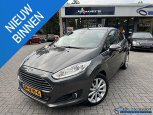 Ford Fiesta 1.0 EcoBoost 100PK Titanium