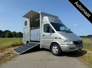 Mercedes-Benz Sprinter 2-paards paardenvrachtwagen Automaat