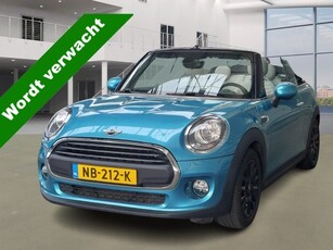 MINI Cabrio 1.2 One Pepper Business 1-Eig. Leer, Stoelverw