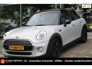 Mini Mini 1.5 Cooper Chili Business PANO-DAK LED NL-AUTO