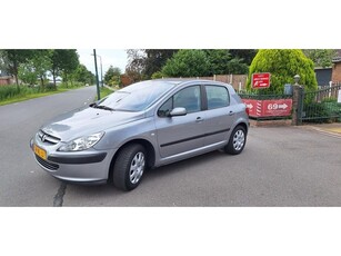 Peugeot 307 1.6-16V XS AUTOMAAT