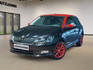 SKODA FABIA 1.2 TSI Style Color Concept. Erg compleet en uniek Sportstoelen, Navi