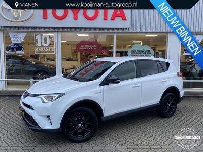 Toyota RAV4 2.5 Hybrid Dynamic Navigatie, Privacy Glass