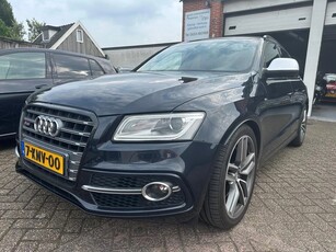 Audi SQ5 3.0 TDI SQ5 quattro Pro Line