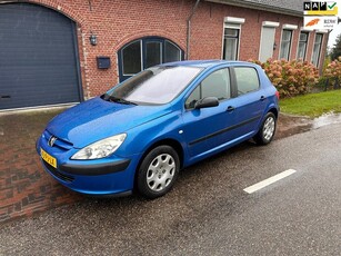 Peugeot 307 1.6-16V XS APK 22-10-2025