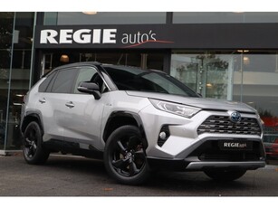 Toyota RAV4 2.5 Hybrid AWD Bi-Tone Navi Led Leer (bj 2020)