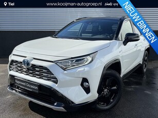 Toyota RAV4 2.5 Hybrid AWD Bi-Tone Navigatie, 360