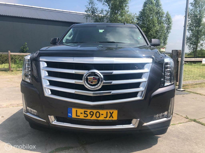 Cadillac Escalade 6.2 V8 Platinum