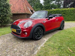 Mini Mini Cabrio 1.5 Cooper Pepper - Sportstoelen-Stoelverw-