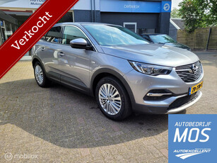 Opel Grandland X 1.2 Turbo Business Executive VERKOCHT!!!!!