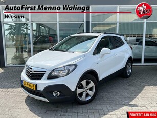 Opel Mokka 1.4 T Achteruitrijcamera Schuif/Kanteldak