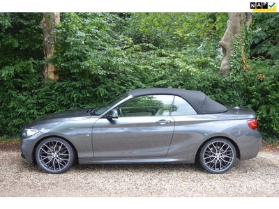 BMW 2-serie Cabrio 220i M Sport Org NL/NAP/99dkm