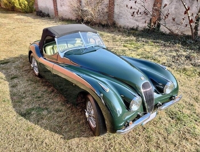 Jaguar - XK 120 OTS SE - 1951