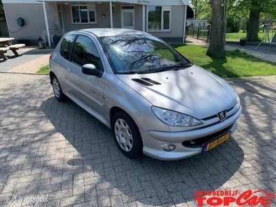 Peugeot 206 1.4-16V Quiksilver apk 15-11-2024