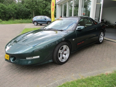 Pontiac Firebird 5.7 Trans AM Targa 5.7-V8. Gereviseerde