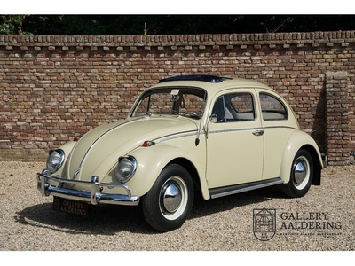 Volkswagen Kever 1200 PRICE REDUCTION Completely restored