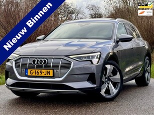 Audi E-tron E-tron 55 quattro advanced Pro Line Plus 95 kWh