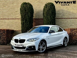 BMW 2-serie Coupé 218d M Sport, Leder Cruise Navi PDC