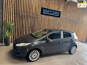 Ford Fiesta 1.0 EcoBoost Titanium [bj 2014]