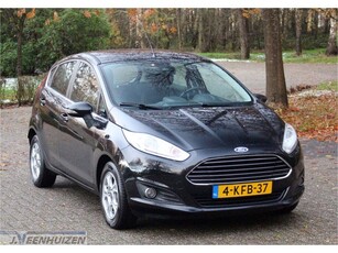 Ford Fiesta 1.6 TDCi Lease Titanium 2013 Cruise