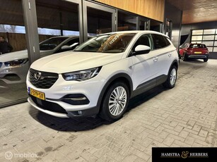 Opel Grandland X 1.2 Turbo Business Edition wit