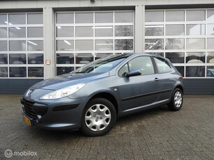 Peugeot 307 1.4-16V Premium