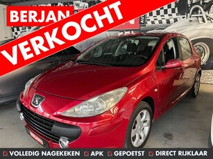 Peugeot 307 1.4-16V XS AIRCO ELEK RAMEN CENT VERG