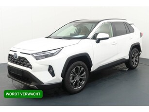 Toyota RAV4 2.5 Hybrid AWD Business Plus