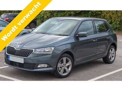 Škoda Fabia 1.0 TSI Style | 1e eigenaar | Navigatie | Panorama dak |