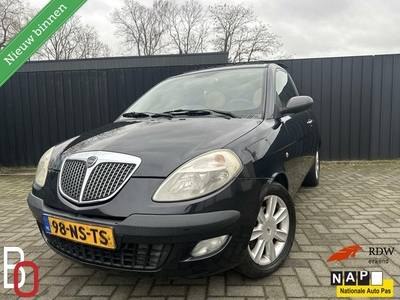 Lancia Ypsilon 1.2-16V Argento AIRCO/APK/CRUISECONTRL/NAP