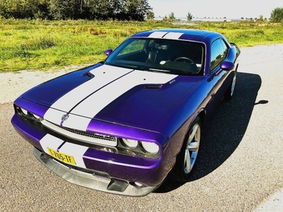 Dodge Challenger 6.1Ltr V8 2010