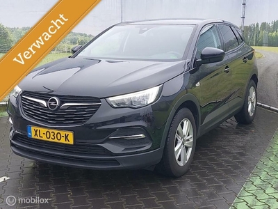 Opel Grandland Benzine