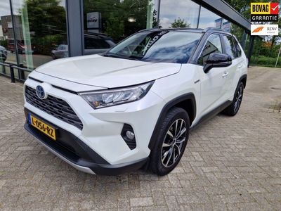 TOYOTA RAV4 2.5 Hybrid Business/19