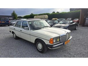 Mercedes-Benz 200-serie 200 w123 (bj 1979, automaat)