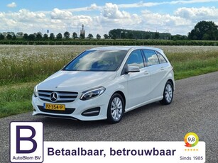 Mercedes-Benz B-Klasse 200 d Business Solution Lage KM