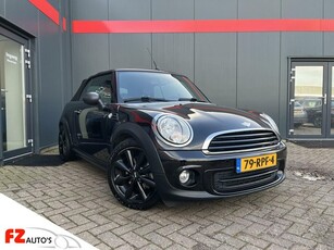 MINI Cabrio 1.6 One Salt Cabrio Metallic L.M Velgen