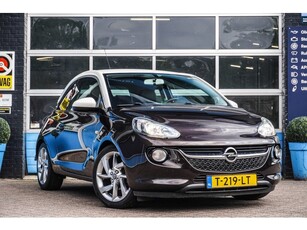 Opel ADAM 1.0 Turbo Rocks Ingebouwde Fietsendrager Cruise