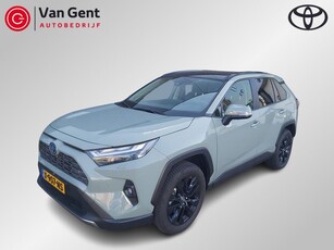 Toyota RAV4 2.5 Hybrid AWD Executive Panodak Bearlock 360