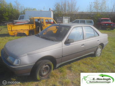 Peugeot 405 1.6 GR kat. schuurvondst