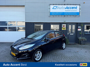 Ford Fiesta 1.25 Titanium Klima/5-drs/LMV...