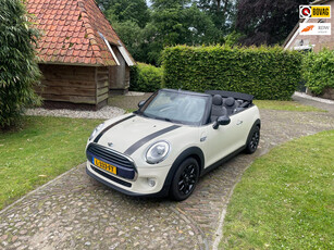 Mini Mini Cabrio 1.5 Cooper Chili Serious Business-Navi-Stoelverw-LED-PDC-