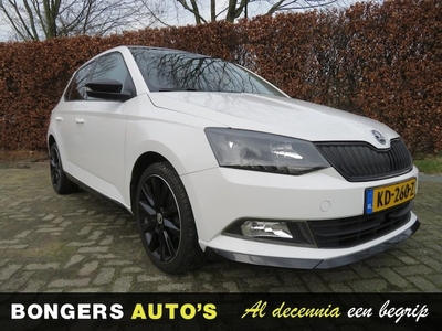 Skoda Fabia Benzine